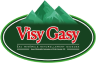 logo visy gasy